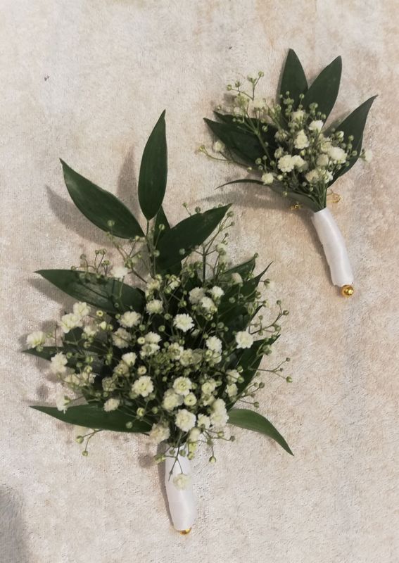Knapphullsblomst